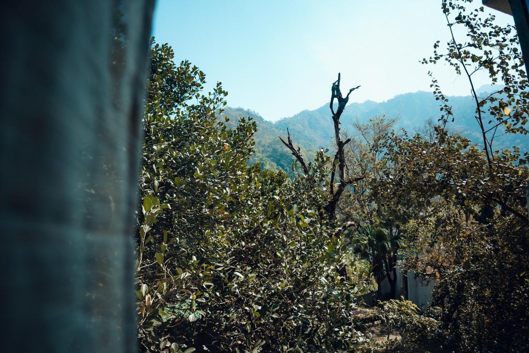 Art Bliss * Rishikesh